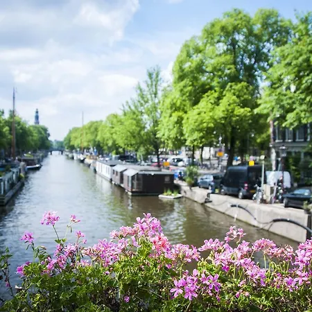 Boat Rosa Short Amsterdam