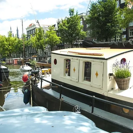 Boat Rosa Short Amsterdam
